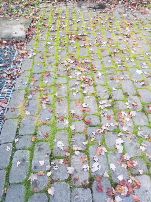 No Limit Sealing - Affordable Driveway Sealing, Interlock Sealing, Garage Ramp Installation, Driveway Extension, Crack Filling, Driveway Painting and Asphalt Maintenance in Vaughan, Richmond Hill, Maple, Markham, Woodbridge, Aurora - interlock sealing and repair, weed and moss treatment