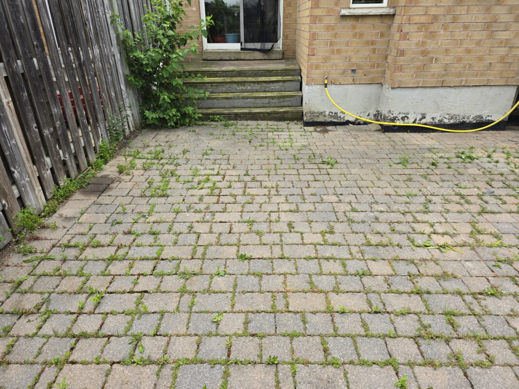 BEFORE - No Limit Sealing Interlock Driveway Sealing and Repair from No Limit Sealing - Affordable Driveway Sealing, Interlock Sealing, Garage Ramp Installation, Driveway Extension, Crack Filling, Driveway Painting and Asphalt Maintenance in Toronto, Vaughan, Richmond Hill, Maple, Markham, Woodbridge, Aurora, King City, Newmarket and GTA